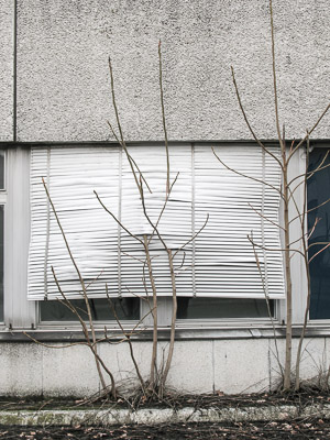 Verlassenes Gebäude (Foto: Georg Bosch)