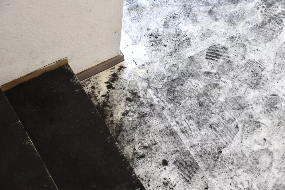 Boden bedeckt mit Papier mit mehreren Schuhabdrücken