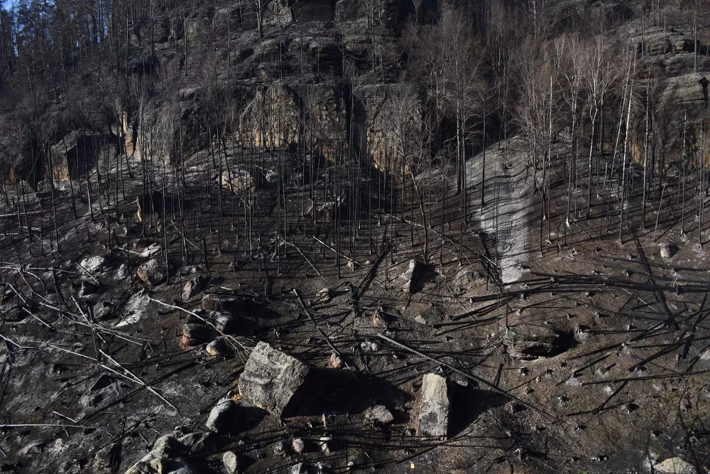Überreste eines Waldbrandes, Luftaufnahme