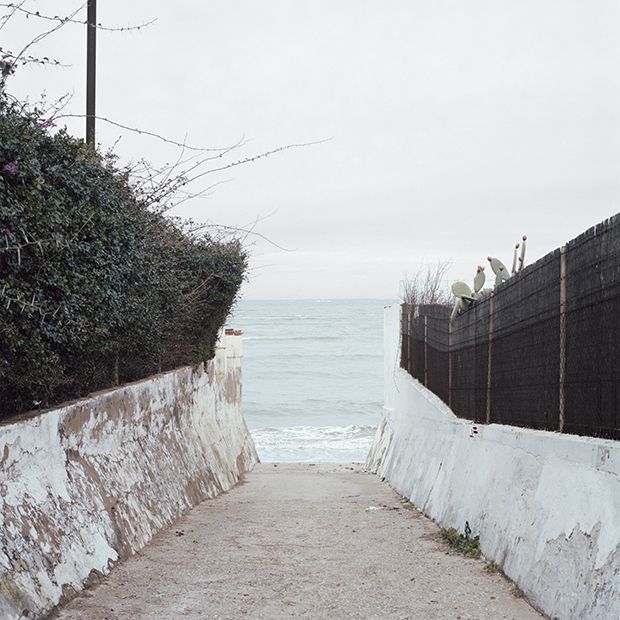 Darko Velazquez