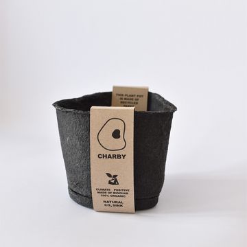 Photography of the plant container