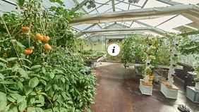 Gewächshaus der ROOF WATER FARM