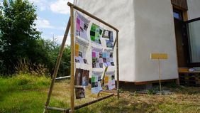 Bambusforschung am Bambusgerüst