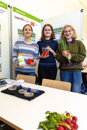 Grüne Gerüste für neue Gewebe (1. Preis »Jugend forscht« Biologie): Lara Ostrowski, Elina Grüning und Kim Dufft erforschten dezellularisierte Pflanzenstrukturen als mögliche Träger für menschliche Zellen. Foto: Bauhaus-Universität Weimar/ Matthias Eckert