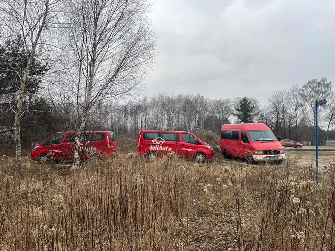 drei rote Transporter stehen auf einer Wiese