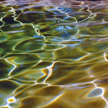 Steffen Michael Gross, »POOL«, 2014, Baryt-Print, Auflage 10 + 3 AP, 97 x 135 cm