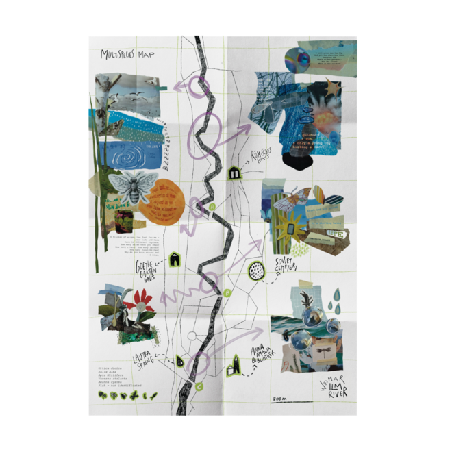 Collage eines Flussverlaufs