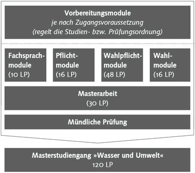 schematischer Aufbau des Masterstudiums, beginnend mit Vorbereitungsmodulen, dem Fachsprachmodul, dem Pflichtmodul, den Wahlmodulen sowie der schriftlichen Masterarbeit und ihrer Verteidigung (insgesamt 120 Leistungspunkte)