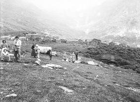 Historisches Foto aus Luisa Krämers Masterthesis (Archivio Fotografico Valdese (AFV), David Peyrot, Angrogna: La Sella. Diversi gruppi nel prato, una vacca che volge il capo, 1886)