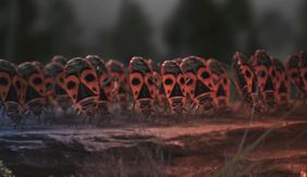 Videostill aus dem Gewinnerfilm »Crossover« von Fabian Grodde.