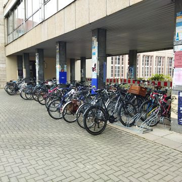 The bicycle is a popular means of transport in Weimar. Photo: Steven Mac Nelly