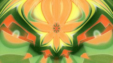 Grafik Lepidopteri