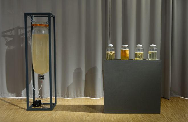 Ausstellungswerk aus der Ausstellung »Shared Habitats«