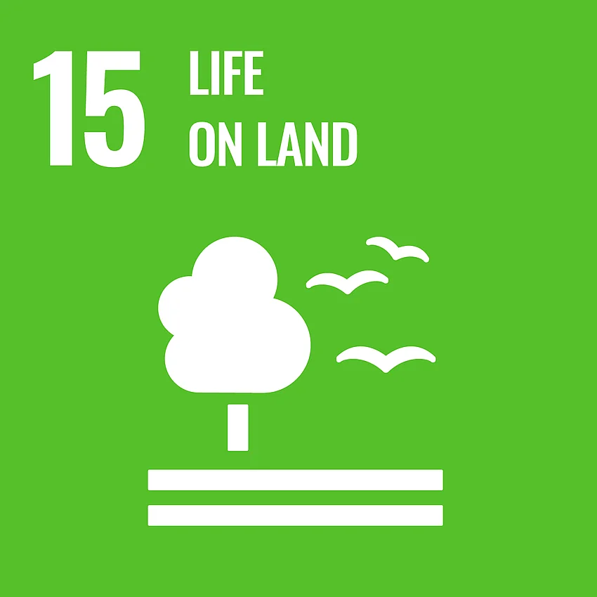 Grafik SDG Ziel 15 - "Life On Land" (Leben an Land), grün unterlegt mit Piktogramm eines Baums und Vögeln.