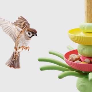 Ein Vogel fliegt die Futterstation an