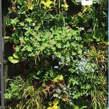 The VertiKKA prototype was developed during the 2019 to 2022 project period and was tested under real conditions in Weimar in 2024. Photo: Dorothee Siemer