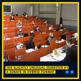 Two-thirds of the senate members met in person at the lecture hall, the other members joined via video chat. Screenshot of the video conference
