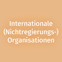 Arbeitsbereich: Internationale (Nichtregierungs-)Organisationen