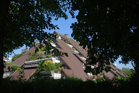 Foto: Carsten Müller