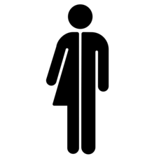 The pictogram is reminiscent of the gendered figures found on washroom doors to indicate a men's or a women's washroom. The non-binary symbol is made up of half a "woman" symbol (left) and half a "man" symbol (right).