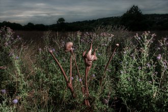 abstract wood sculptures among flowering thistles in nature