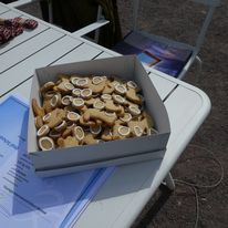 [Translate to English:] Foto: Stadtverwaltung Weimar