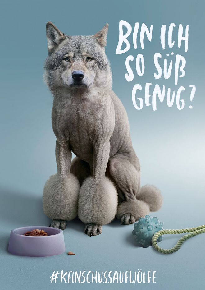 Bin ich so süß genug? Plakat