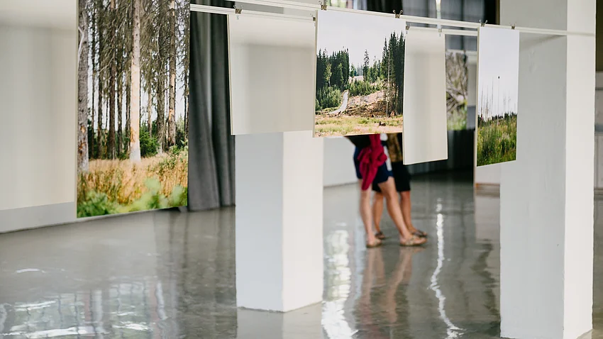 großformatige Fotografien in der Ausstellung »Landschaft im Anthropozän – Thüringer Wald«