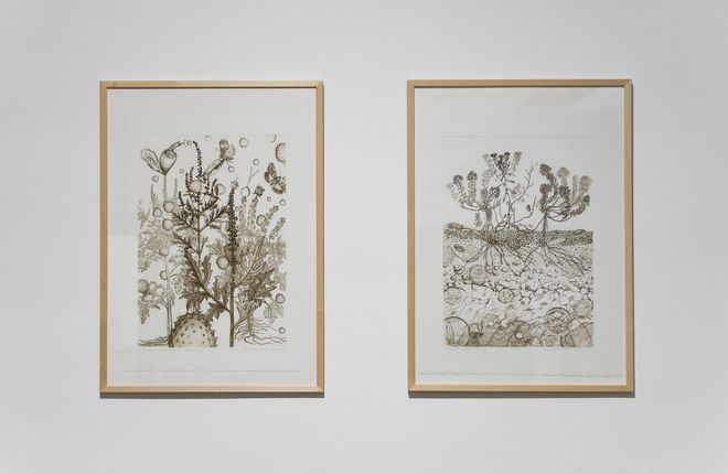 Ausstellungswerk aus der Ausstellung »Shared Habitats«; Arbeit von Prof. Alexandra Toland. Foto: Silke kleine Kalvelage