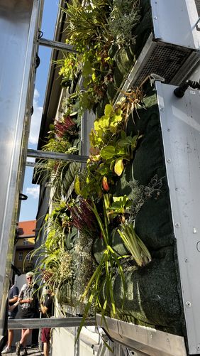 Zur Bewässerung der Fassadenpflanzen wird aufbereitetes Grauwasser genutzt. Das Reallabor befindet sich in Weimar. Bauhaus-Universität Weimar, Foto: Rosa Rump