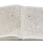 Peter Heckwolf bildet Spinnennetze durch ein spezielles Druckverfahren ab. (Bauhaus-Universität Weimar, Peter Heckwolf)
