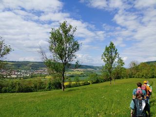 Foto: Mario Wolf