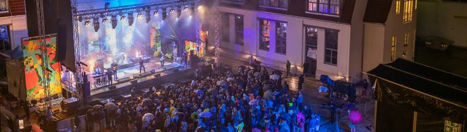 Foto zeigt Publikum bei Livekonzert