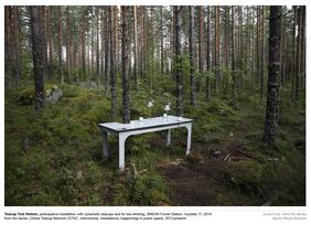 Teacup Tool Station, participative installation with cybernetic teacups and for tea drinking, SMEAR Forest Station, Hyytiälä, FI, 2014 from the series »Global Teacup Network (GTN)«, instruments, installations, happenings in public space, 2013-present