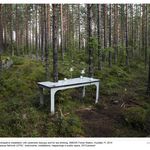 Teacup Tool Station, participative installation with cybernetic teacups and for tea drinking, SMEAR Forest Station, Hyytiälä, FI, 2014 from the series »Global Teacup Network (GTN)«, instruments, installations, happenings in public space, 2013-present