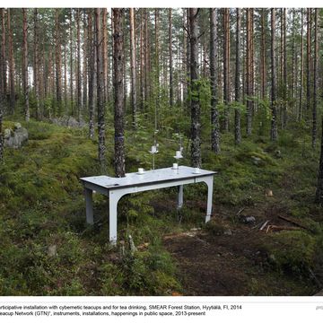Teacup Tool Station, participative installation with cybernetic teacups and for tea drinking, SMEAR Forest Station, Hyytiälä, FI, 2014 from the series »Global Teacup Network (GTN)«, instruments, installations, happenings in public space, 2013-present