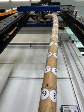 Ausgeknickter Bambushalm mit angeklebten Messmarken im Versuchsstand Ausgeknickter Bambushalm mit angeklebten Messmarken im Versuchsstand