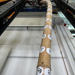 Ausgeknickter Bambushalm mit angeklebten Messmarken im Versuchsstand