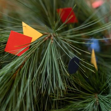 Foto: Thomas Müller