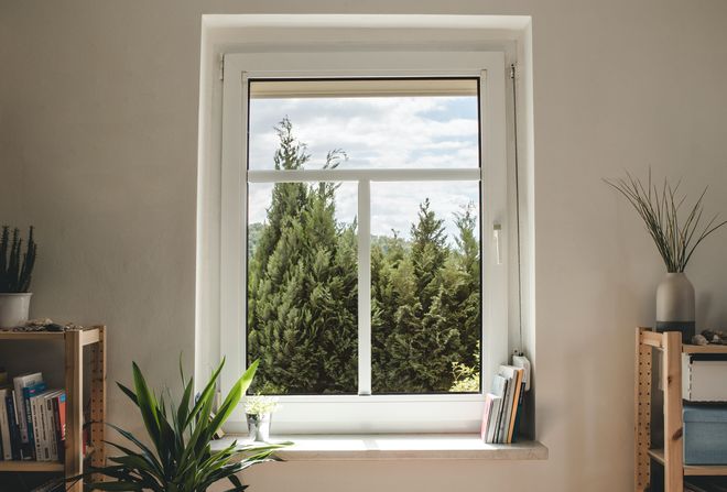 Alexander Döpels Blick aus dem Fenster