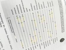 Abbildung der Publikation