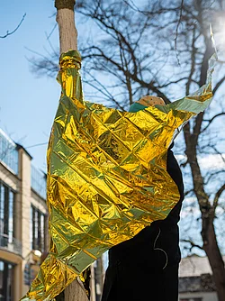 2021, Baum, Campus, Folie, Gold, Hauptgebäude