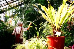 Alfred Heilbronn Botanical Garden, 2017, Istanbul, Photo: The Garden of (not) Forgetting Project