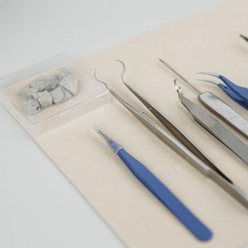 Der 22. Thüringer Werkstofftag findet an der Bauhaus-Universität Weimar statt und steht unter dem Motto »Ressourcenschonung und Energieeffizienz«. Foto: Guido Werner