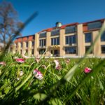 Foto: Thomas Müller Im Vordergrund eine Blumenwiese, im Hintergrund das Hauptgebäude der Bauhaus-Universität Weimar.