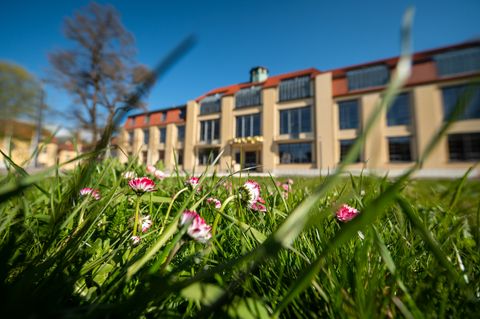 Nomination for the German Sustainability Award: In the foreground is a flower meadow; in the background is the main building of the Bauhaus-Universität Weimar.