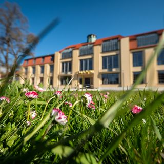 Im Vordergrund eine Blumenwiese, im Hintergrund das Hauptgebäude der Bauhaus-Universität Weimar.