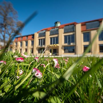 In the foreground is a flower meadow; in the background is the main building of the Bauhaus-Universität Weimar.