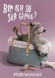 Bin ich so süß genug? Plakat