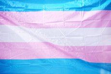 Photo of the Trans Pride Flag: it shows five horizontal stripes: blue - pink - white - pink - blue.